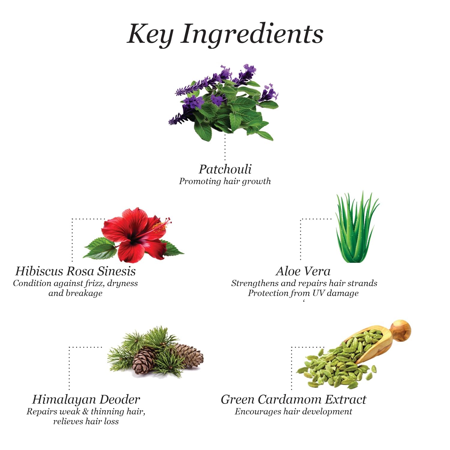 Himalayan Hair Cleanser (All Hair Types, 200 ml)